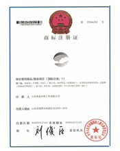Trademark registration certificate6